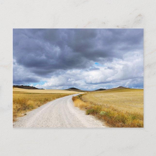 Postal Campos de trigo cosechado (Anverso)