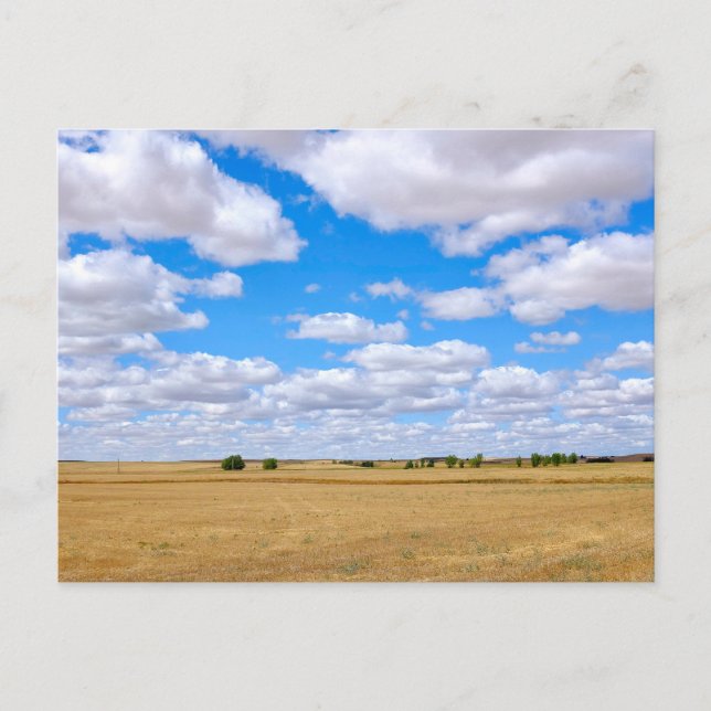 Postal Campos de trigo cosechado (Anverso)