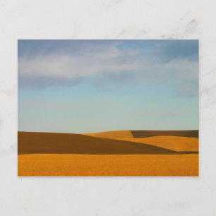 Postal Campos de trigo dorado en la región de Palouse