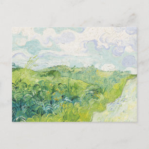 Postal Campos de trigo verde, Auvers (1890) por Van Gogh.