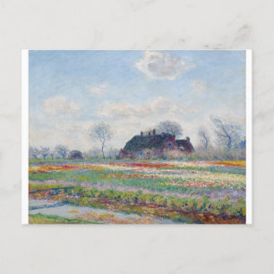 Postal Campos de tulipán en Sassenheim por Claude Monet