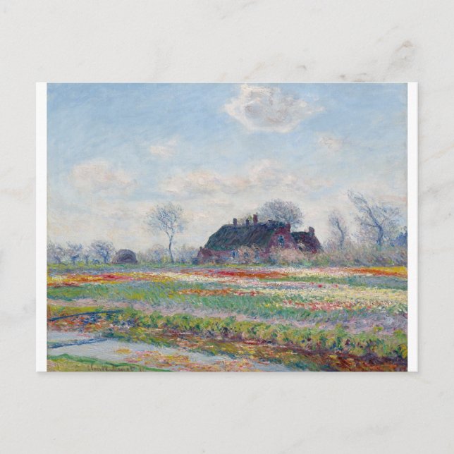 Postal Campos de tulipán en Sassenheim por Claude Monet (Anverso)