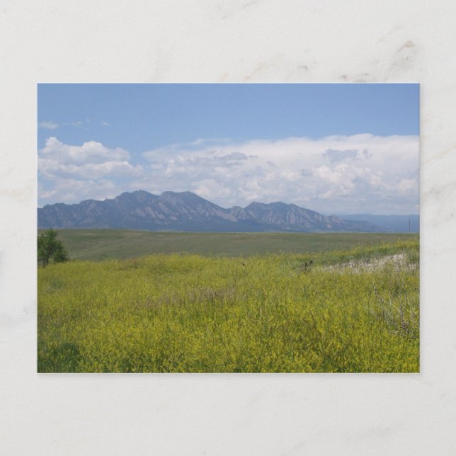 Postal Campos de verde y oro (Anverso)