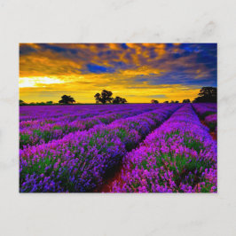 Postal Campos púrpuros