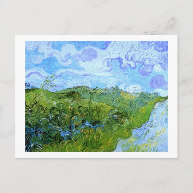 Postal Campos verdes de trigo Van Gogh Bella Artes (Anverso)