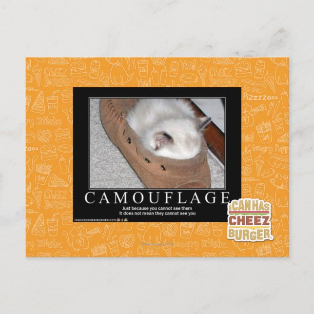 Postal Camuflaje (Anverso)