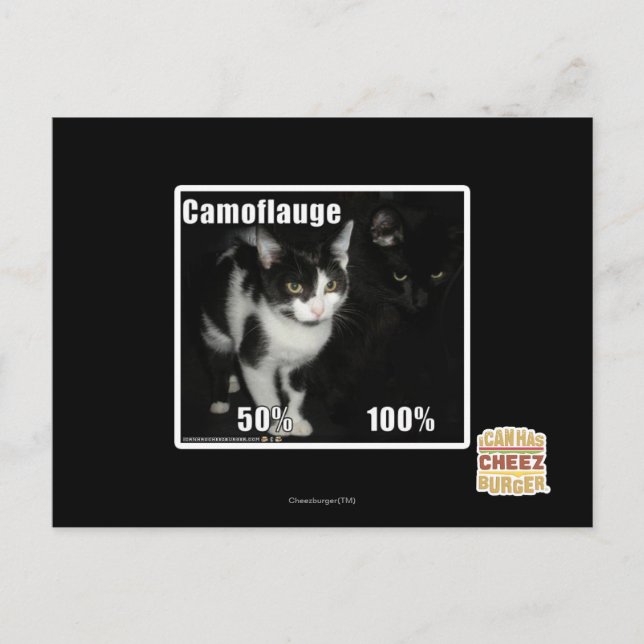 Postal Camuflaje (Anverso)