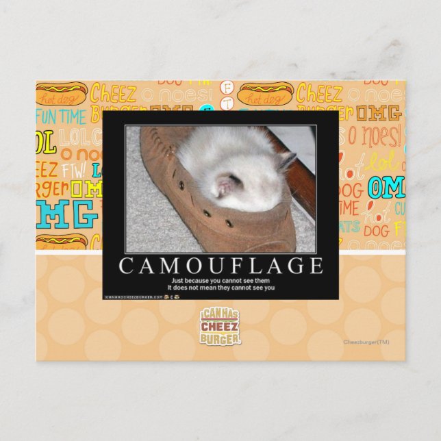 Postal Camuflaje (Anverso)