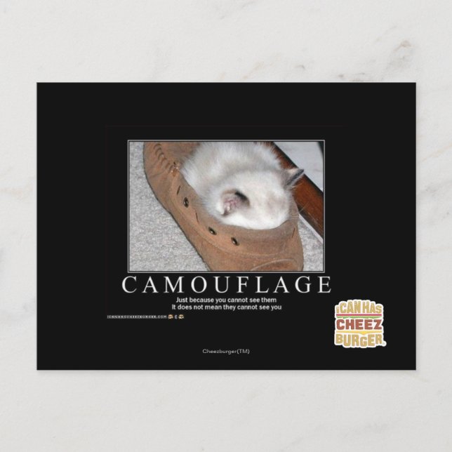 Postal Camuflaje (Anverso)