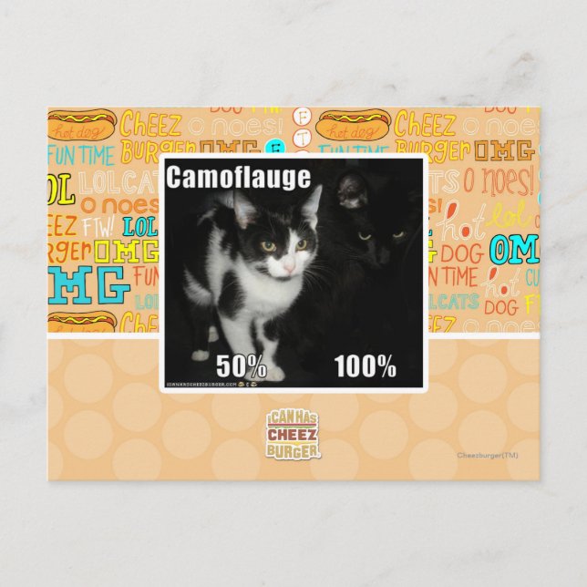 Postal Camuflaje (Anverso)