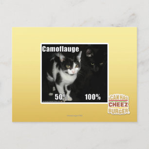 Postal Camuflaje
