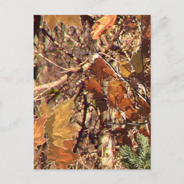 Postal Camuflaje de arbusto de bosque otoñal (Anverso)