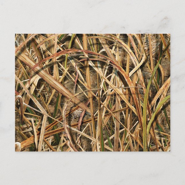 Postal Camuflaje de john (Anverso)