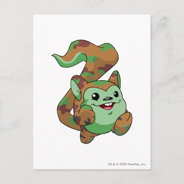 Postal Camuflaje de Meerca (Anverso)