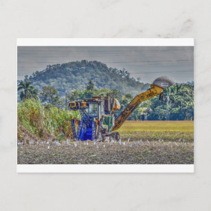 POSTAL CAÑA DE AZÚCAR HARVESTOR QUEENSLAND AUSTRALIA