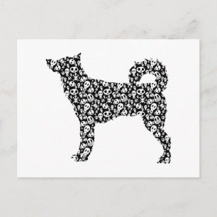 Postal Canaan Dog