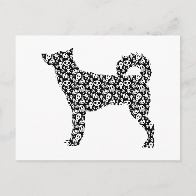 Postal Canaan Dog (Anverso)