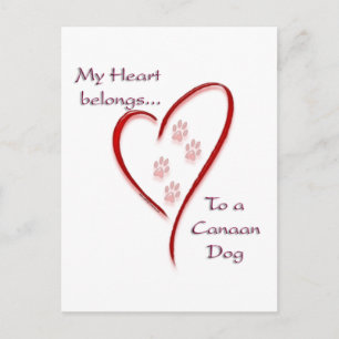 Postal Canaan Dog Heart Pertenece