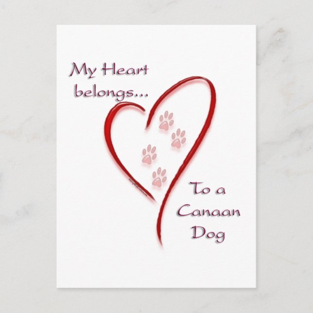 Postal Canaan Dog Heart Pertenece (Anverso)