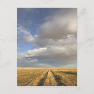 Postal Canadá, Alberta, alzate: Paisaje con