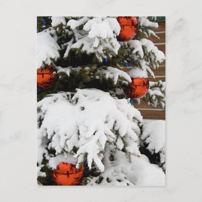 Postal Canadá, Alberta, Jasper, Jasper NP. Fairmont 2 (Anverso)