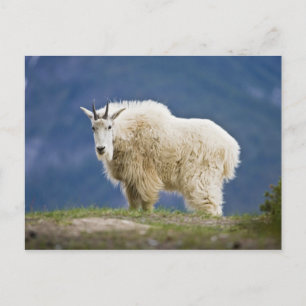 Postal Canadá, Alberta, Parque Nacional Jasper,