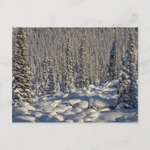 Postal Canadá, Alberta, Parque Nacional Jasper.