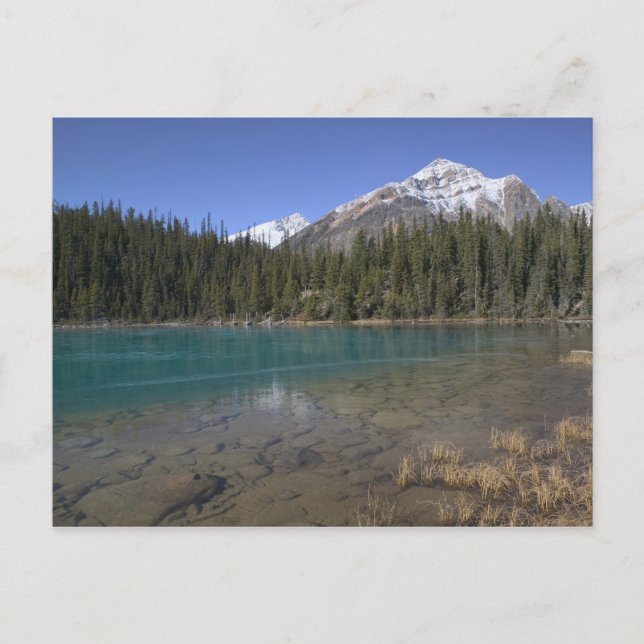Postal Canadá, Alberta, Parque Nacional Jasper: JASPER, (Anverso)