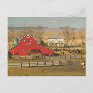 Postal Canadá, Alberta, Pincher Creek: Red Barn & Ranch