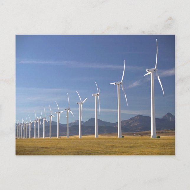 Postal Canadá, Alberta, zona de paso de Crowsnest: Cowley (Anverso)