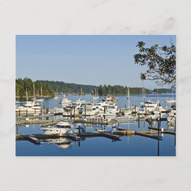 Postal Canadá, BC, Islas del Golfo, Isla Salt Spring, (Anverso)