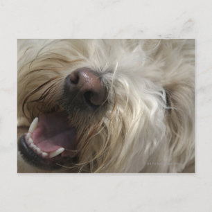 Postal Canadá, British Columbia, Vancouver