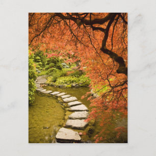 Postal CANADÁ, British Columbia, Victoria. Otoño