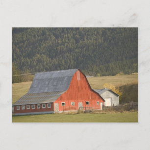 Postal CANADÁ, Columbia Británica, Enderby. Granero Rojo