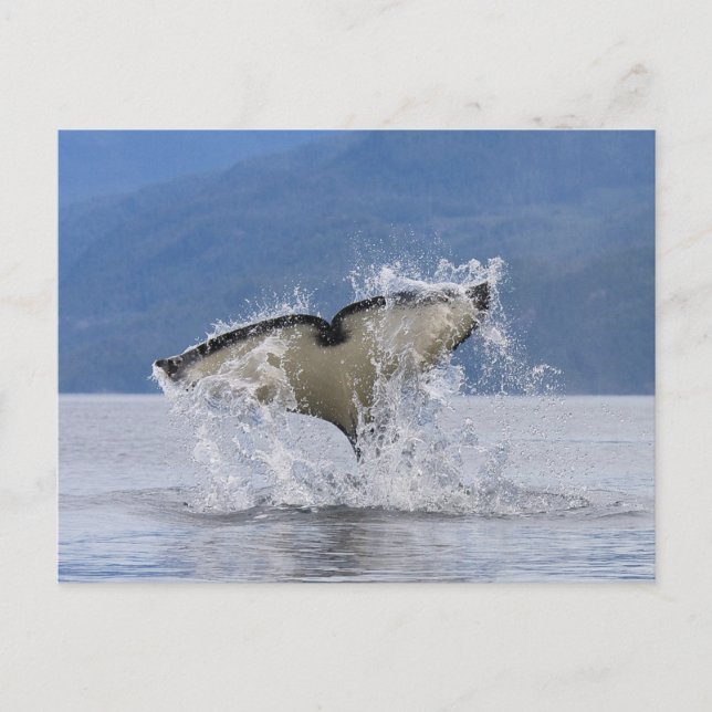 Postal Canadá, Columbia Británica, isla de Vancouver, (Anverso)