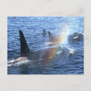 Postal Canadá, Columbia Británica, Johnstone Straight