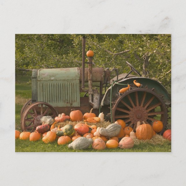 Postal CANADÁ, Columbia Británica, Keremeos. Otoño/2 (Anverso)