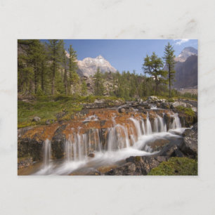 Postal Canadá, Columbia Británica, Parque Nacional Yoho. 