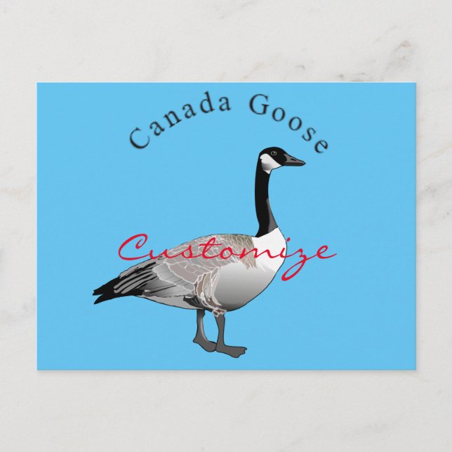 Postal Canadá Goose Gander Thunder_Cove (Anverso)