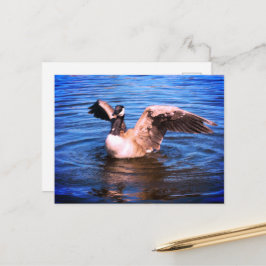 Postal Canadá Goto Flapping Her Wings Blue Water Nature