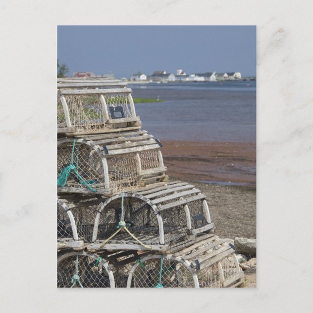 Postal Canadá, Isla del Príncipe Eduardo, Rústico. Lobo (Anverso)