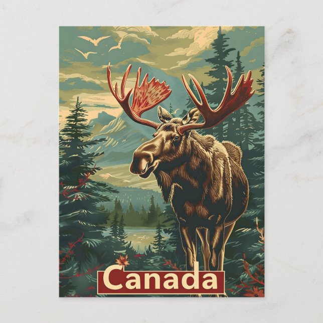 Postal Canadá Moose Vintage (Anverso)