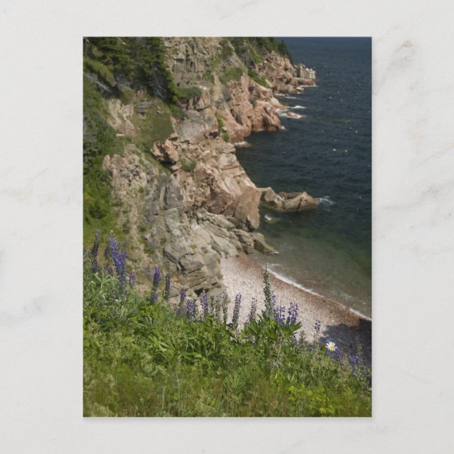 Postal Canadá, Nueva Escocia, Isla del Cabo Bretón, Cabot (Anverso)