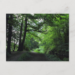 Postal Canal, Bute Park, Cardiff, Gales