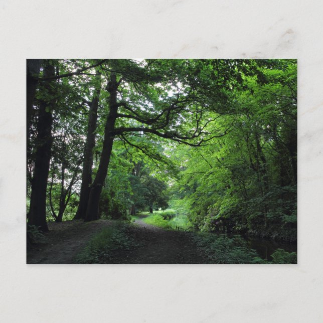 Postal Canal, Bute Park, Cardiff, Gales (Anverso)