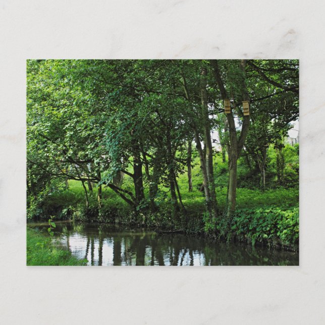 Postal Canal de alimentación de Dock, Bute Park, Cardiff, (Anverso)