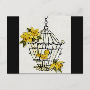 Postal Canarias y Dafodiles