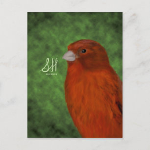 Postal Canario Rojo