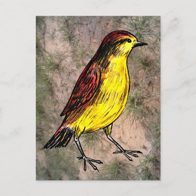Postal Canary Bird (Anverso)
