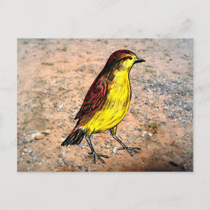 Postal Canary Bird